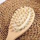 Cleaning Brush